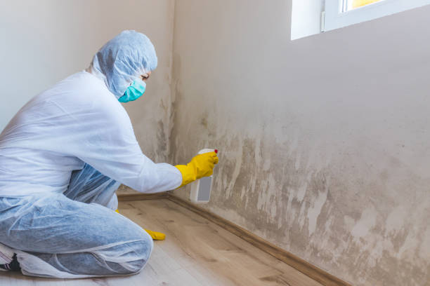 Licensed Commercial Mold Remediation service in Marlboro, NJ - WQB Mold Removal