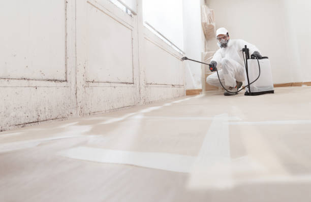 24/7 Emergency Commercial Mold Remediation experts in Marlboro, NJ