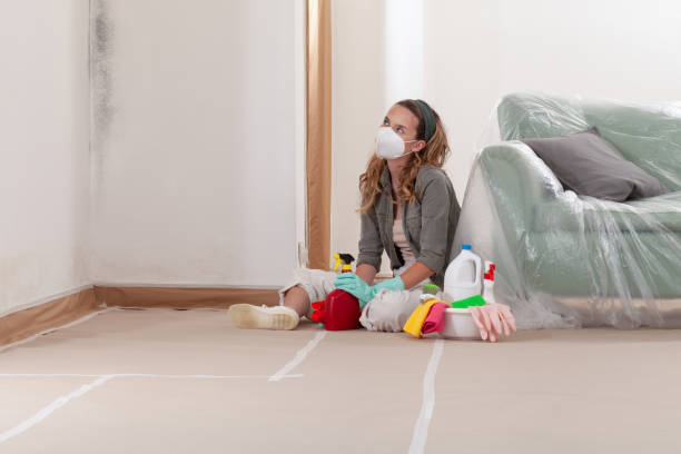 Reliable Commercial Mold Remediation contractor in Marlboro, NJ by WQB Mold Removal
